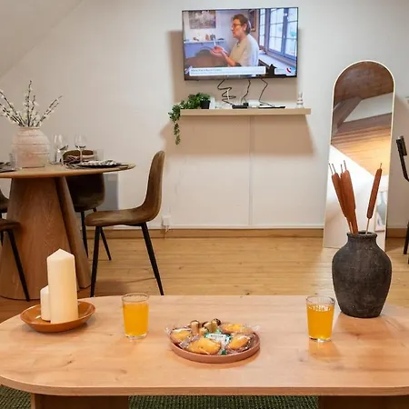 Charming, Newly Renovated 3-bedroom Duplex In The Heart Of * Romilly-sur-Seine